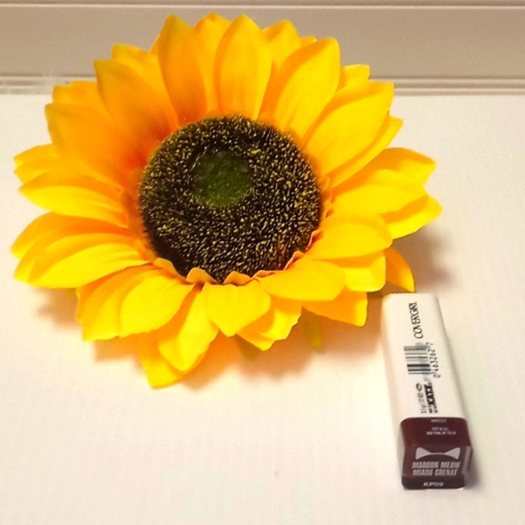 Katy Kat Matte Covergirl Lipstick 💄- Maroon Meow - Picture 5 of 8